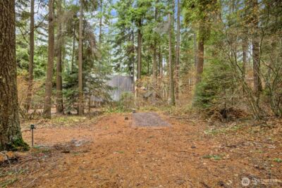 1211 Pine Loch Sun Drive , Ronald, WA 98940 - Photo 11
