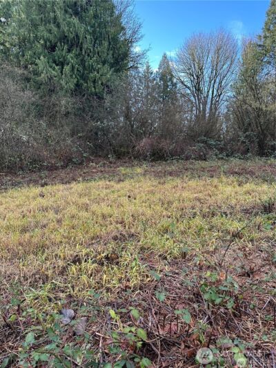 0 121st Avenue SE, Snohomish, WA 98290 - Photo 3