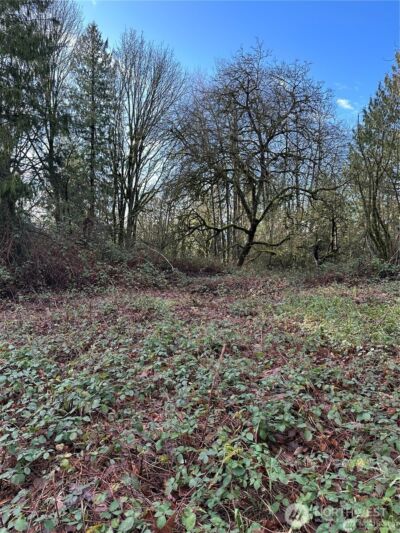 0 121st Avenue SE, Snohomish, WA 98290 - Photo 5