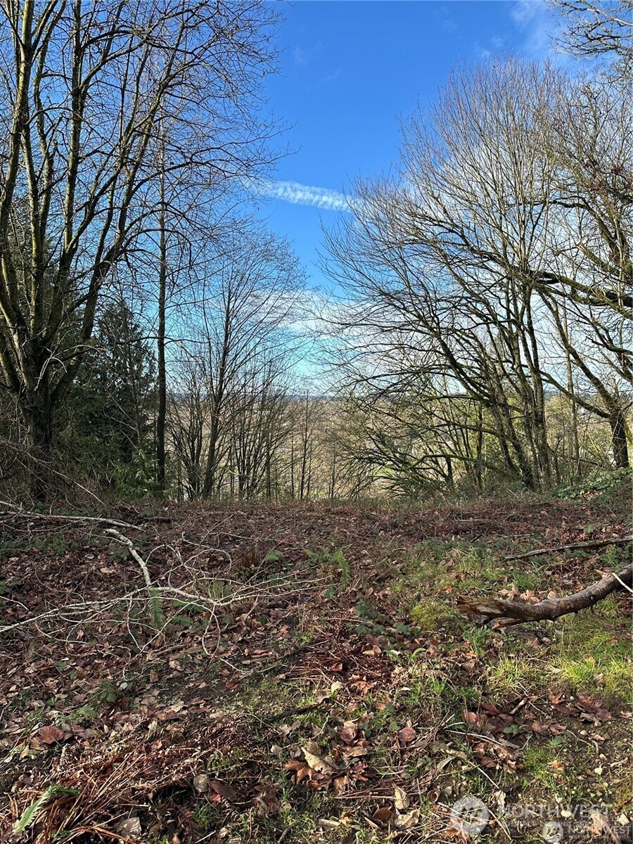 0 121st Avenue SE, Snohomish, WA 98290