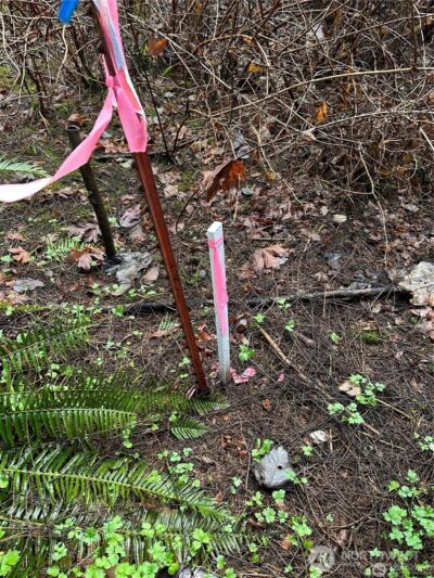 0 121st Avenue SE, Snohomish, WA 98290 - Photo 7