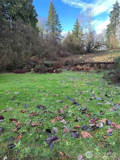 0 121st Avenue SE, Snohomish, WA 98290 - Photo 9