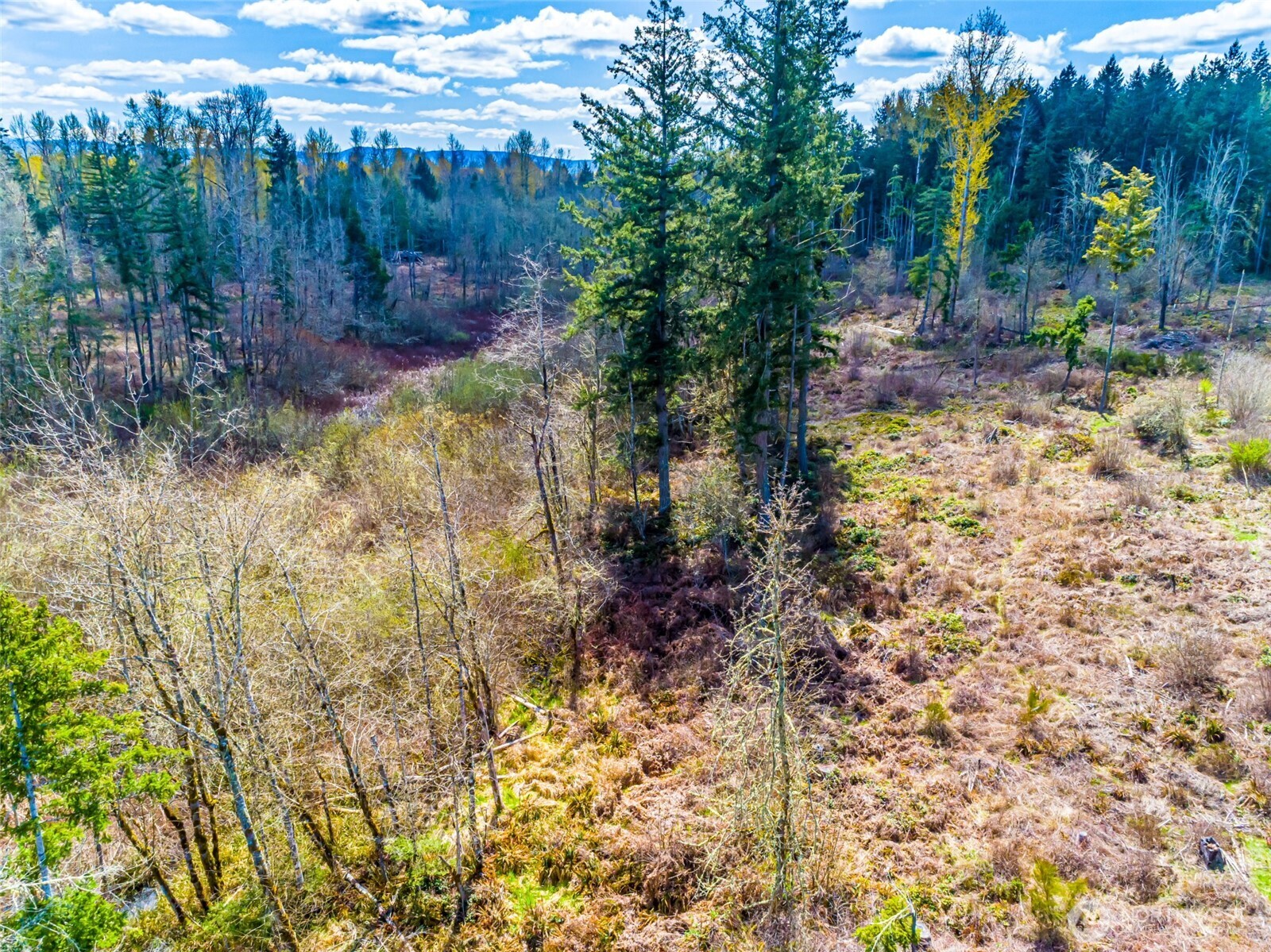 0 40th Avenue S, Roy, WA 98580