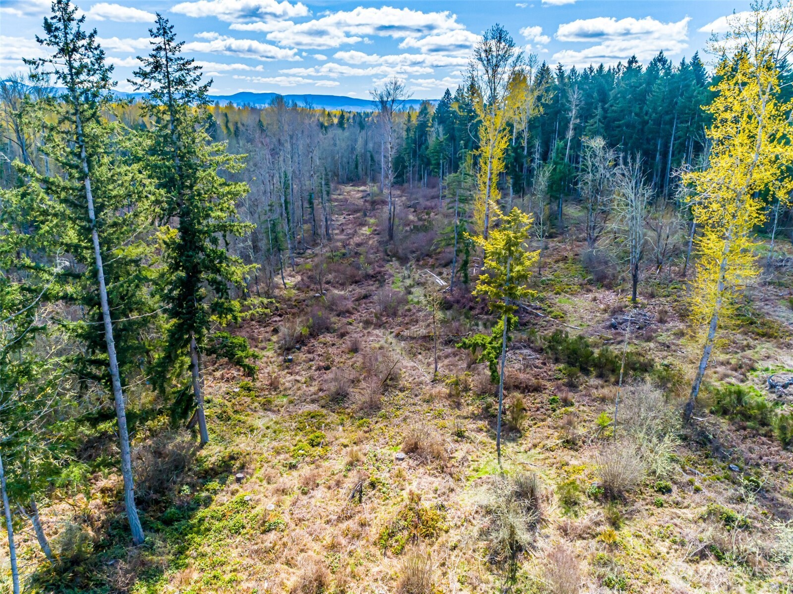 0 40th Avenue S, Roy, WA 98580