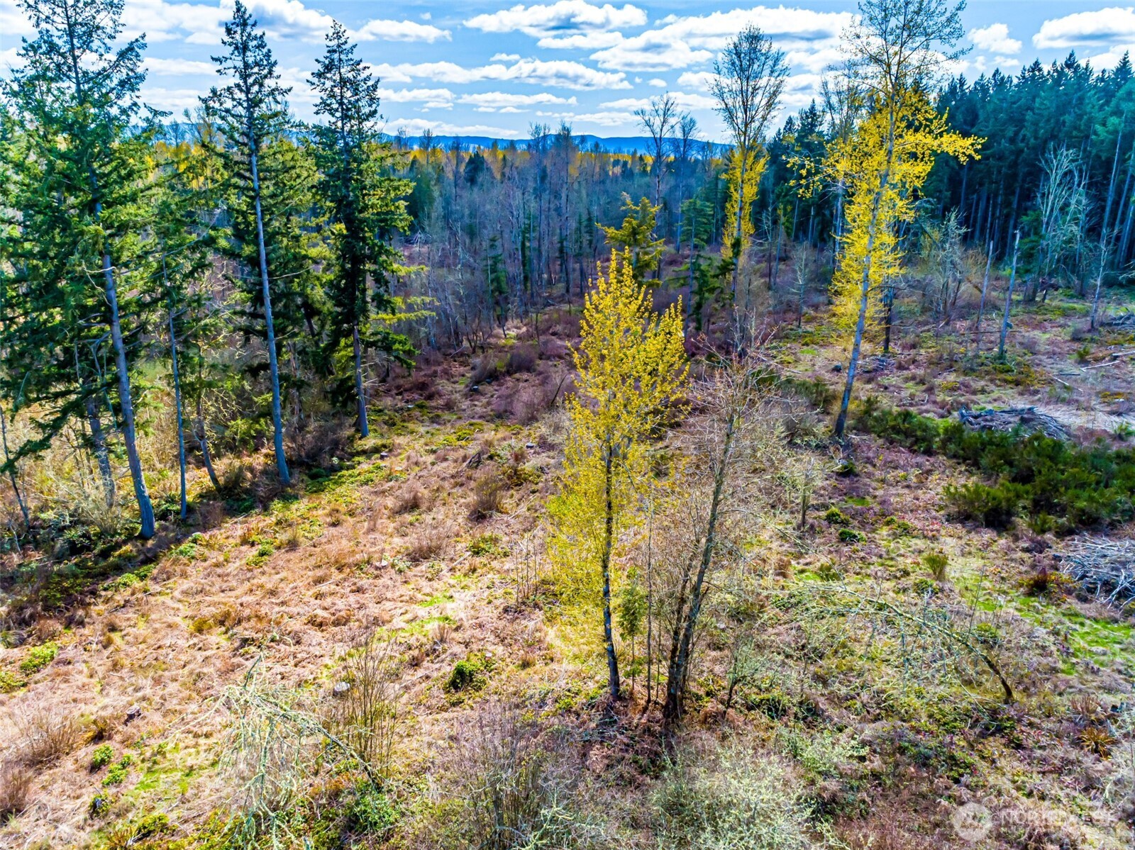 0 40th Avenue S, Roy, WA 98580