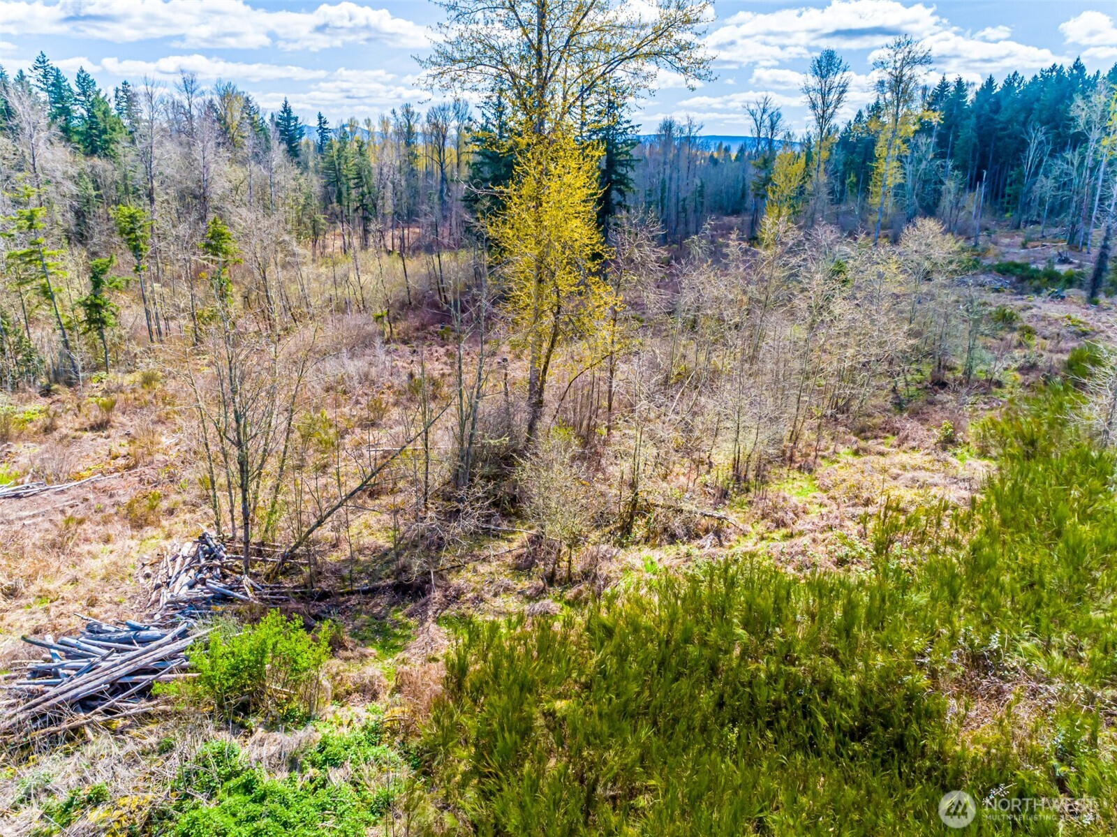 0 40th Avenue S, Roy, WA 98580