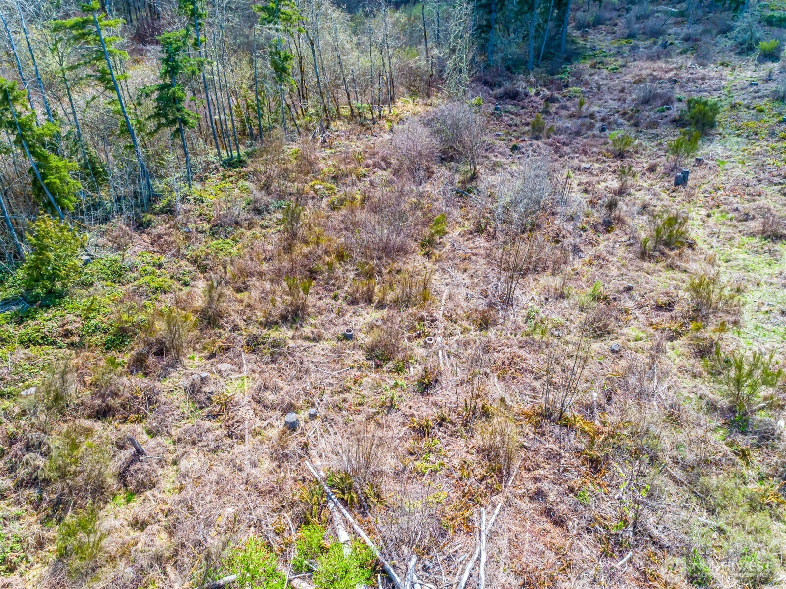 0 40th Avenue S, Roy, WA 98580