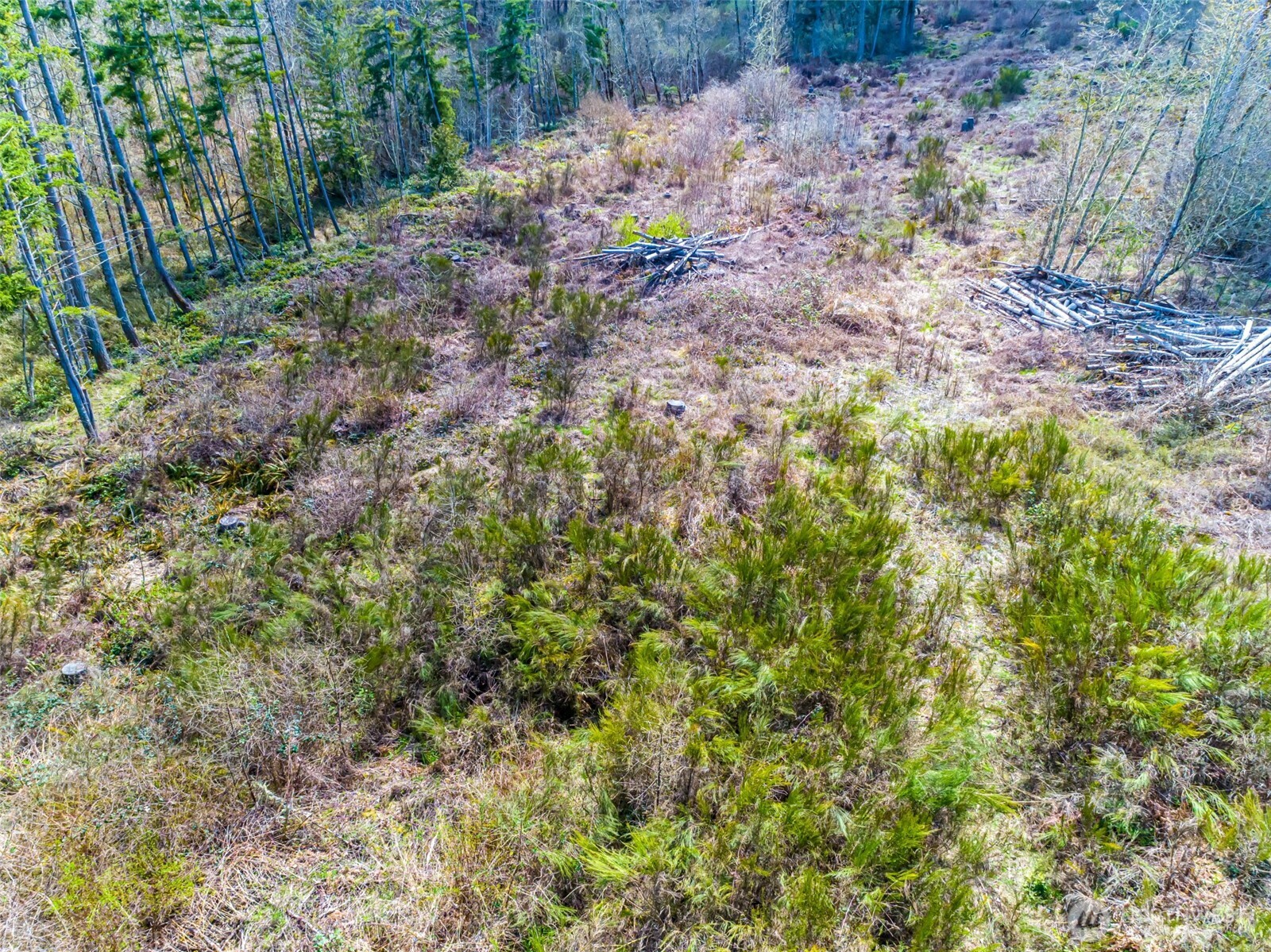 0 40th Avenue S, Roy, WA 98580