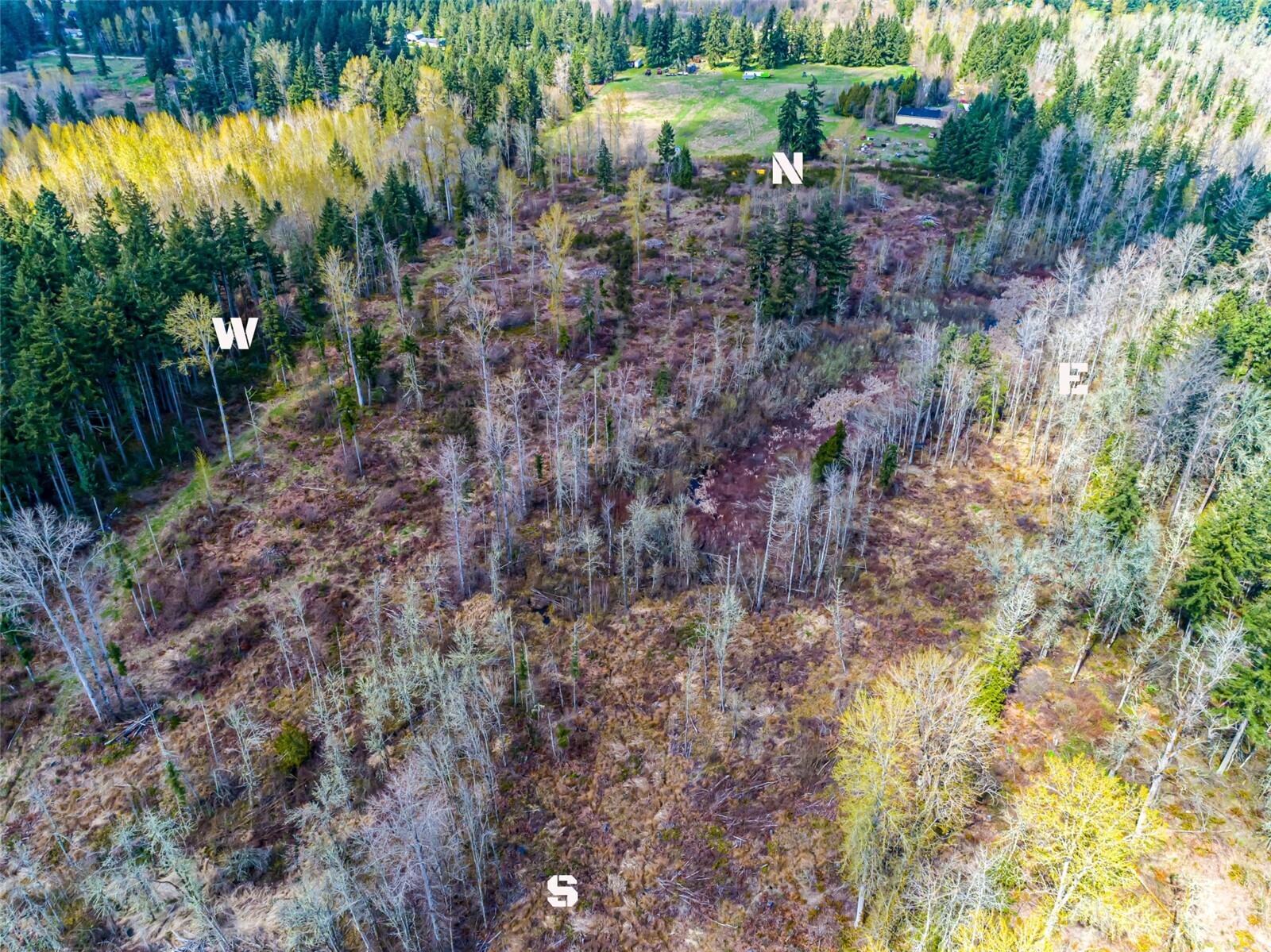 0 40th Avenue S, Roy, WA 98580