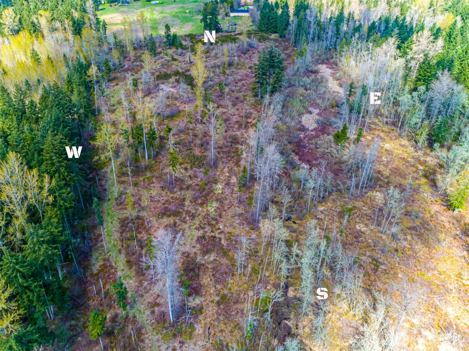 0 40th Avenue S, Roy, WA 98580