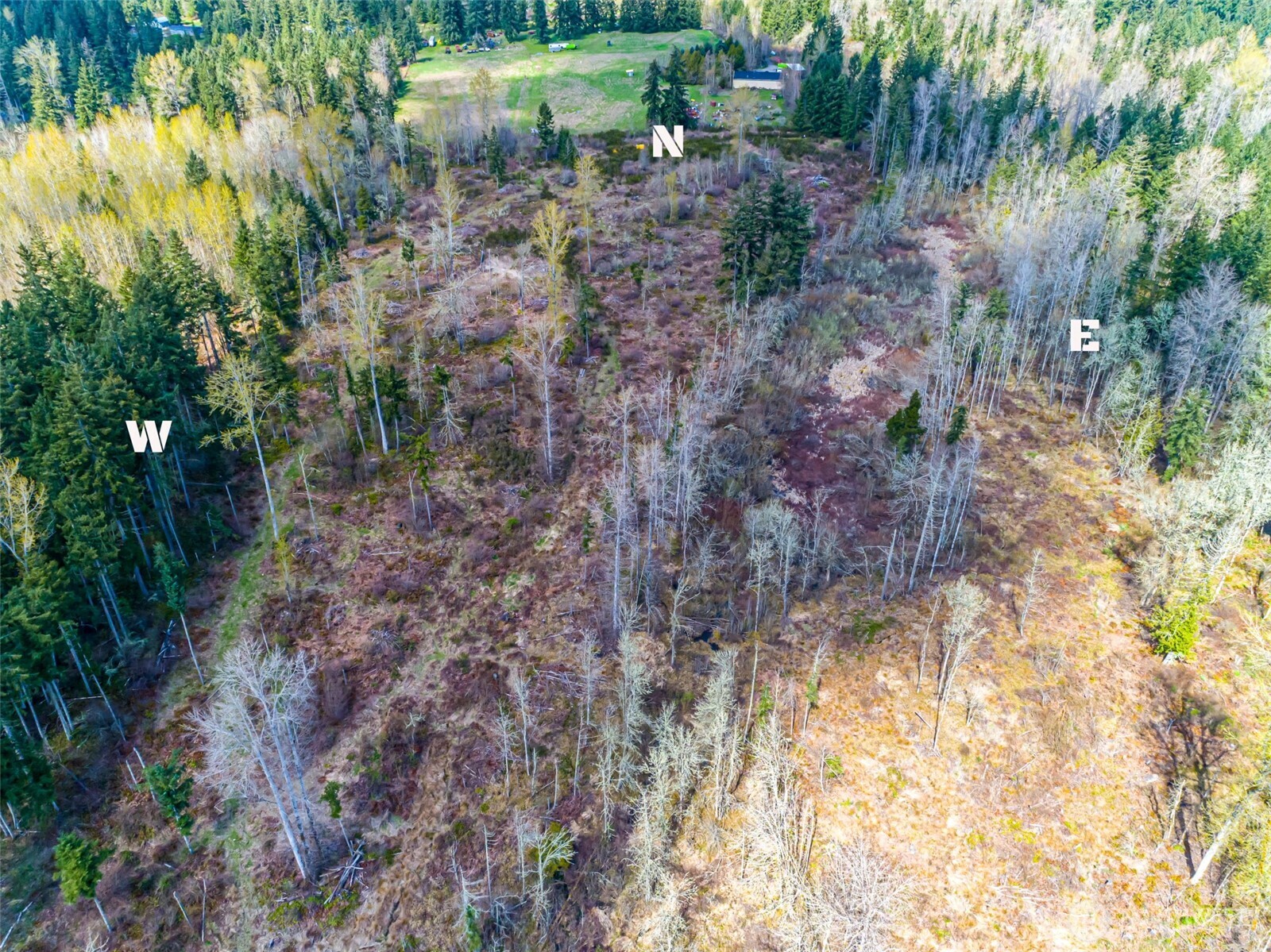 0 40th Avenue S, Roy, WA 98580
