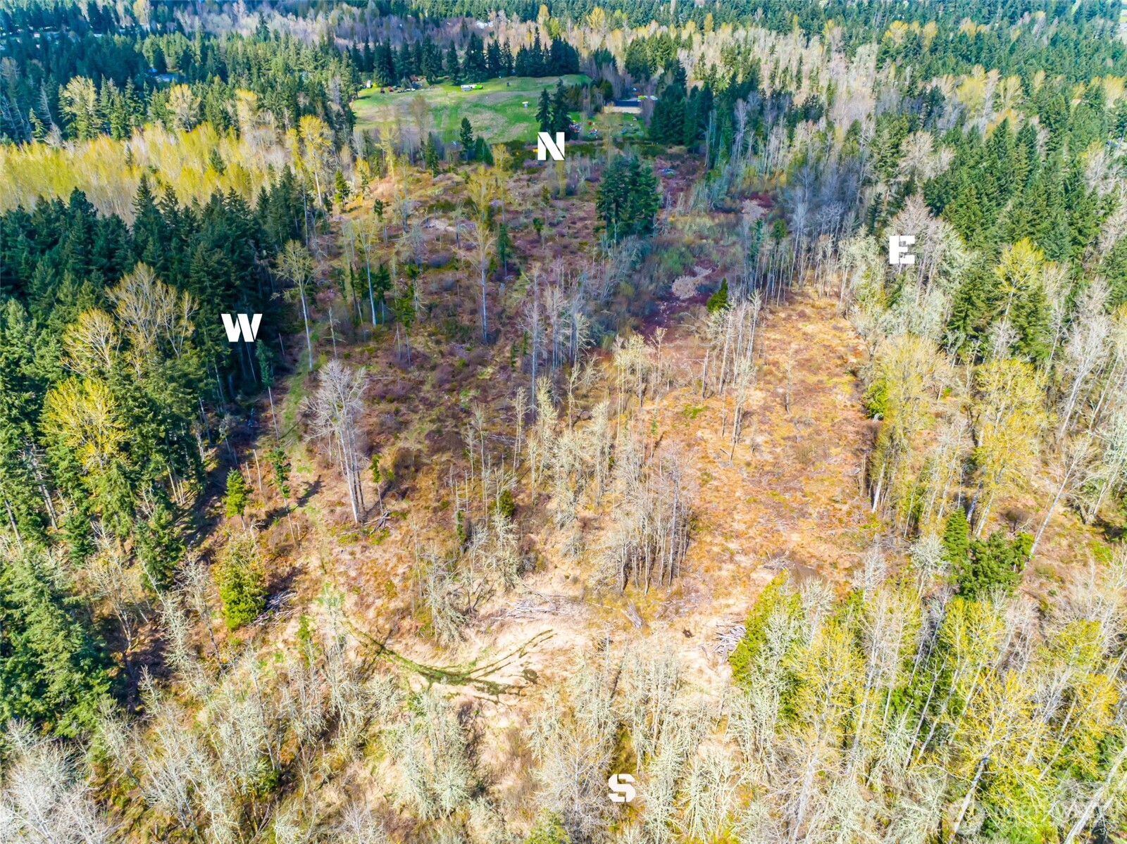 0 40th Avenue S, Roy, WA 98580