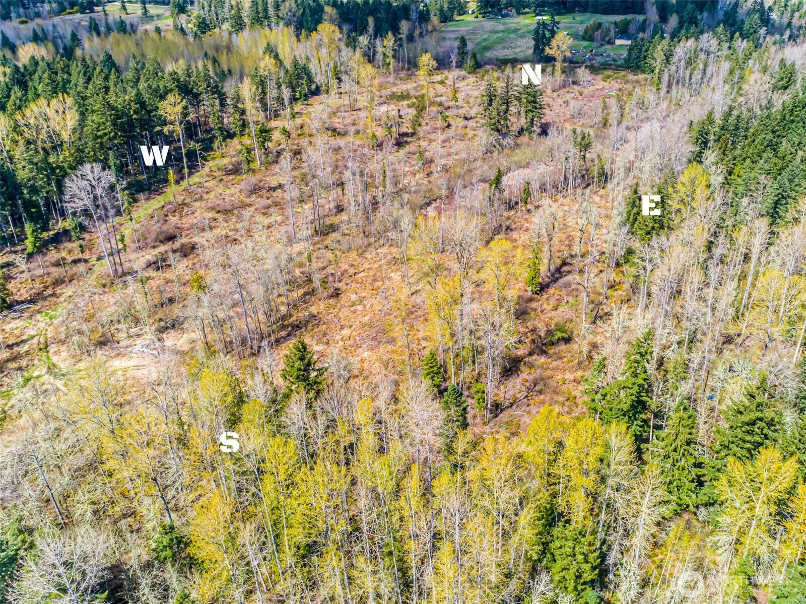 0 40th Avenue S, Roy, WA 98580