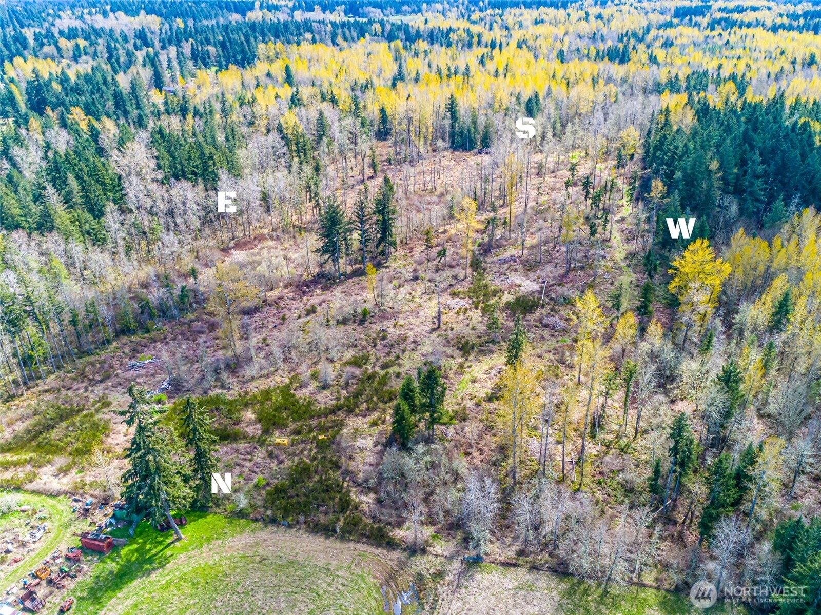 0 40th Avenue S, Roy, WA 98580