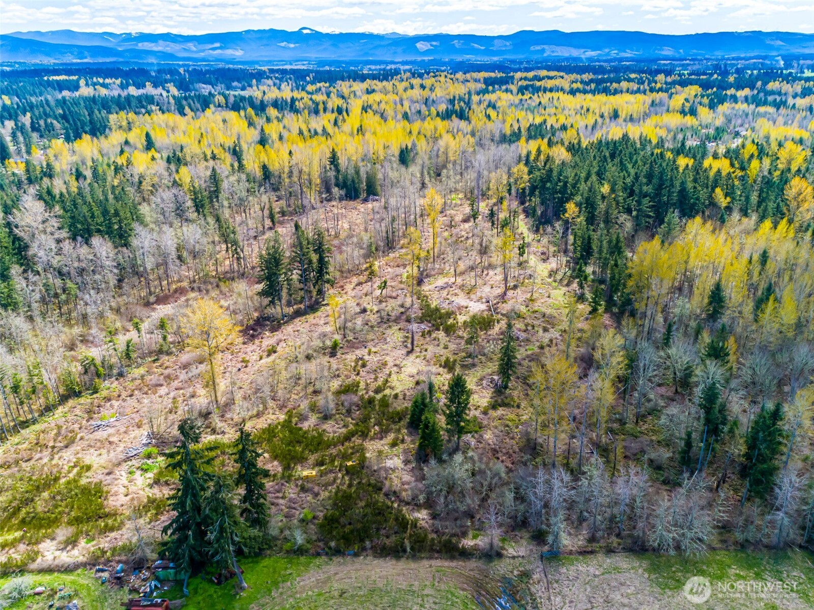 0 40th Avenue S, Roy, WA 98580