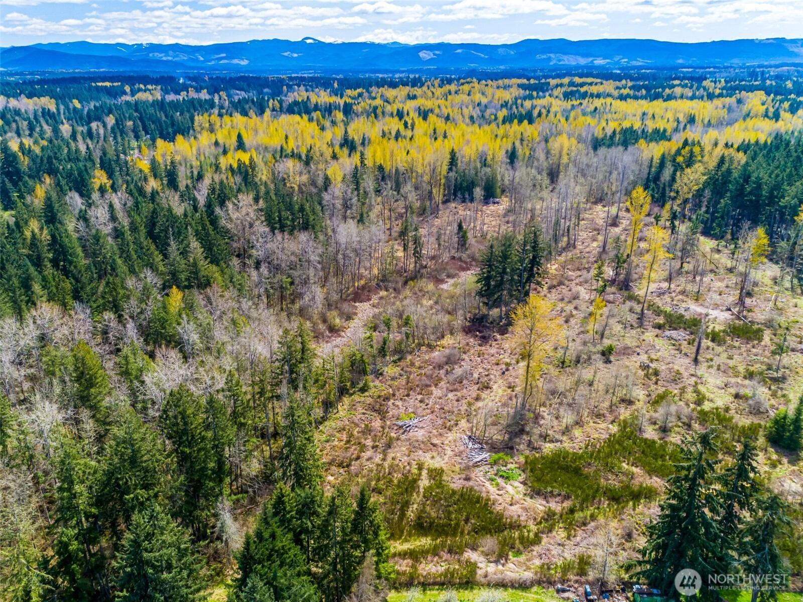 0 40th Avenue S, Roy, WA 98580