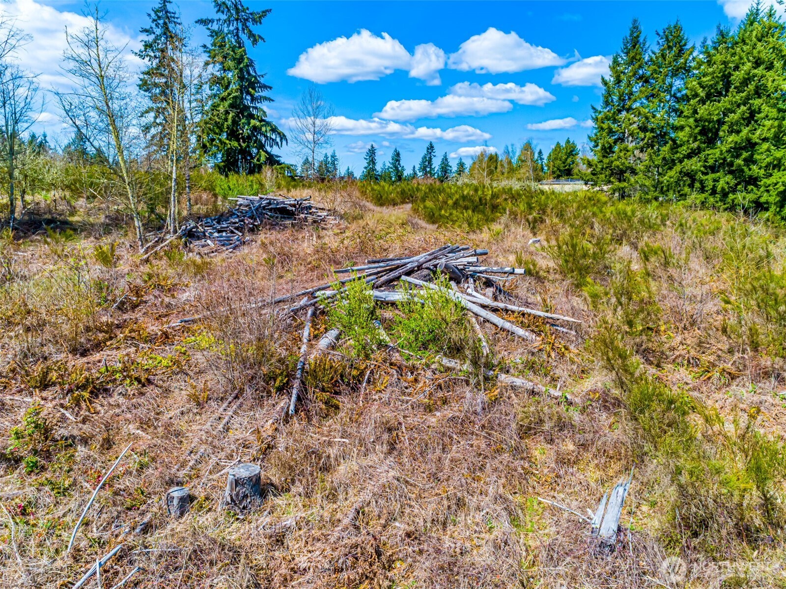 0 40th Avenue S, Roy, WA 98580