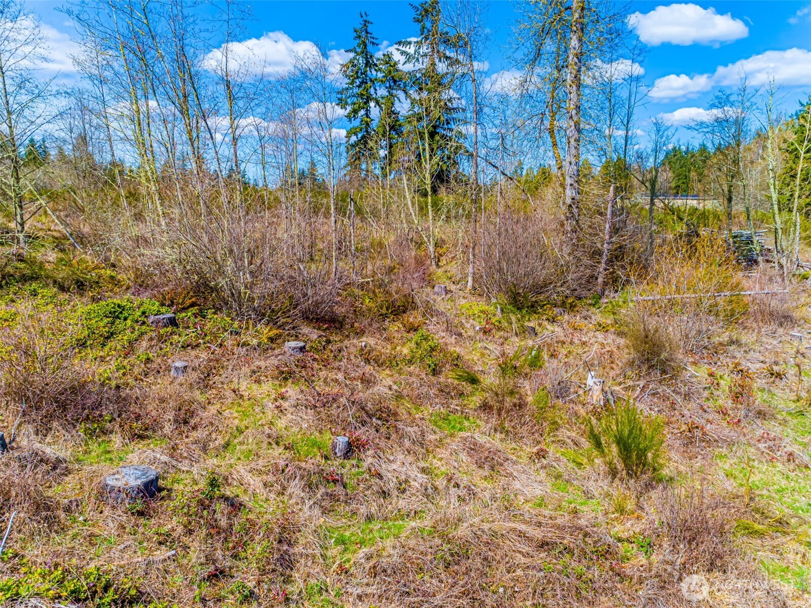0 40th Avenue S, Roy, WA 98580