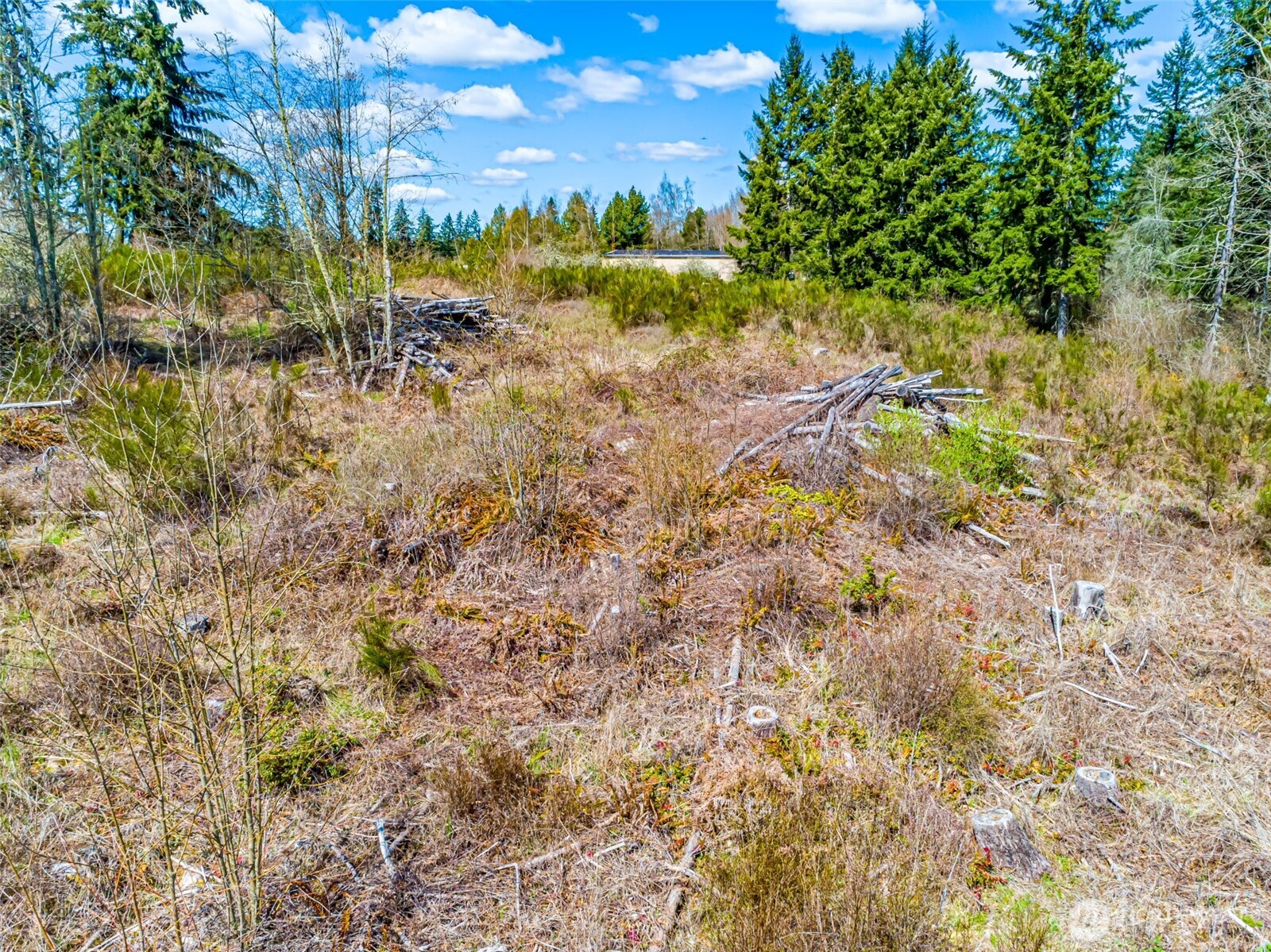 0 40th Avenue S, Roy, WA 98580