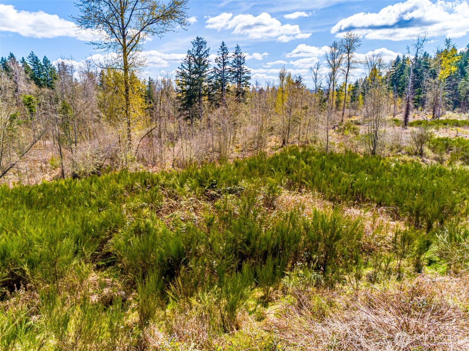 0 40th Avenue S, Roy, WA 98580
