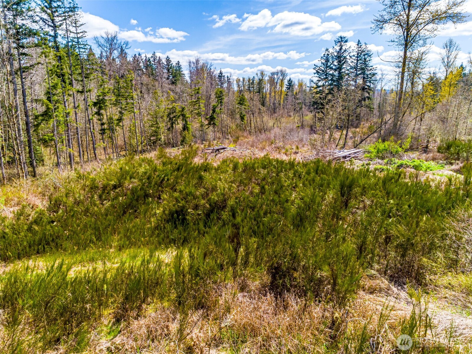 0 40th Avenue S, Roy, WA 98580