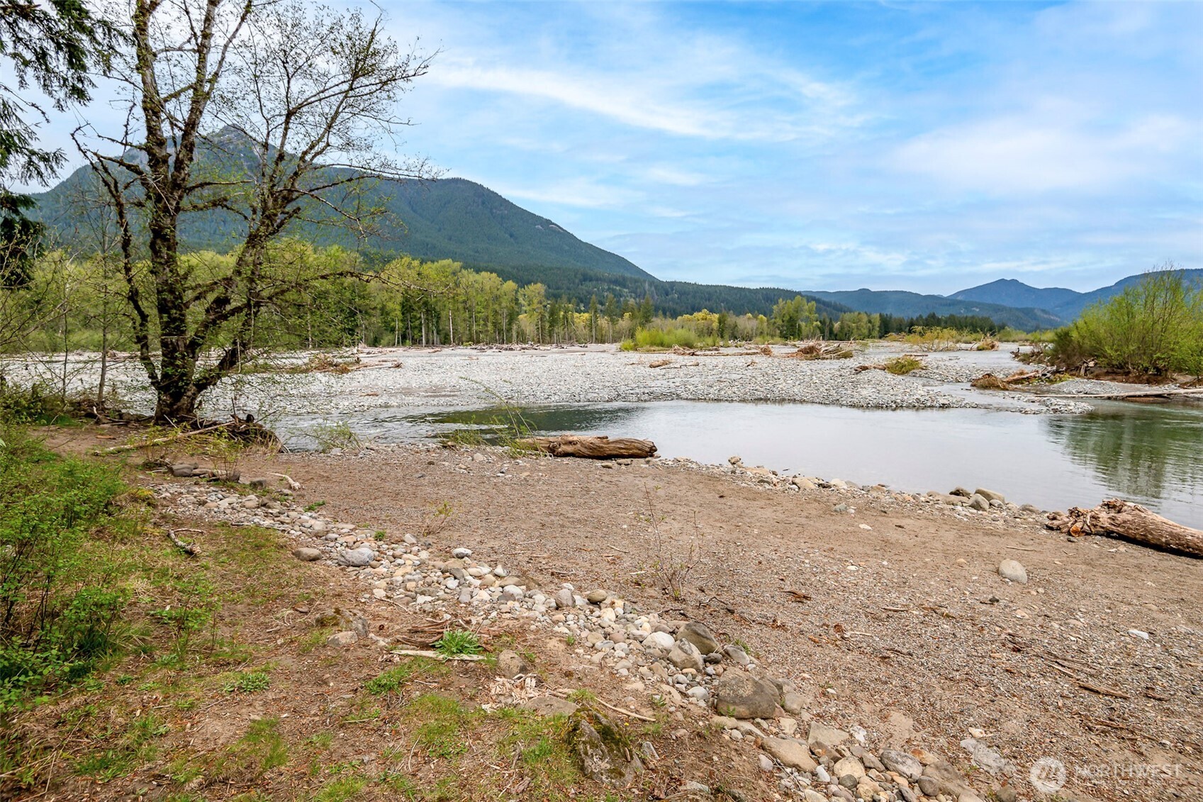 107 Goat Rocks Drive , Packwood, WA 98361