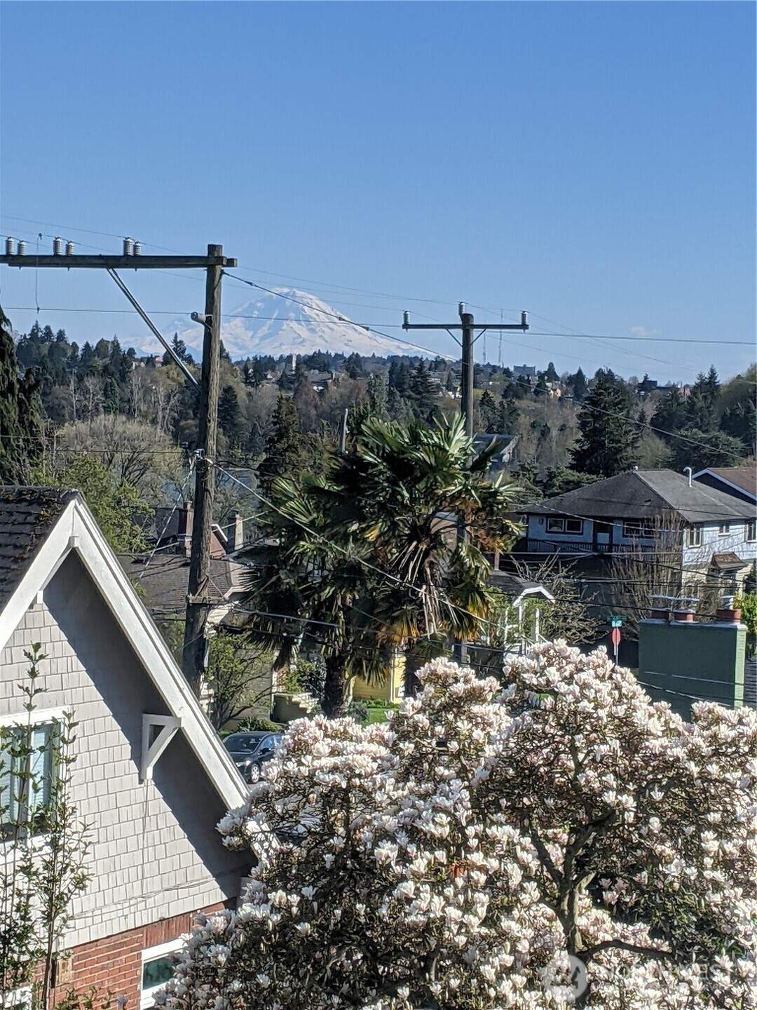 751 N 71st Street , Seattle, WA 98103