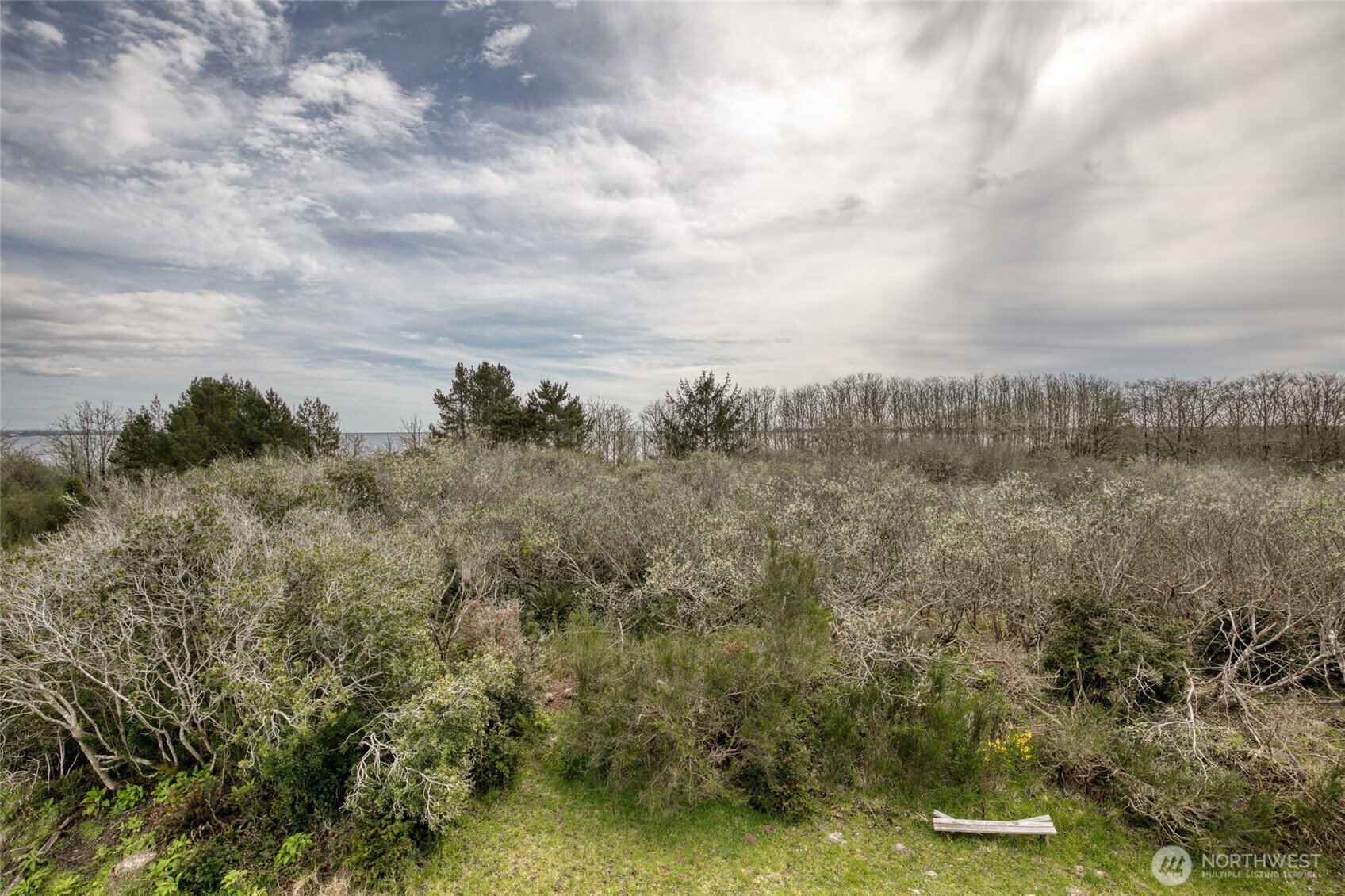 171 Marine View Drive SE, Ocean Shores, WA 98569