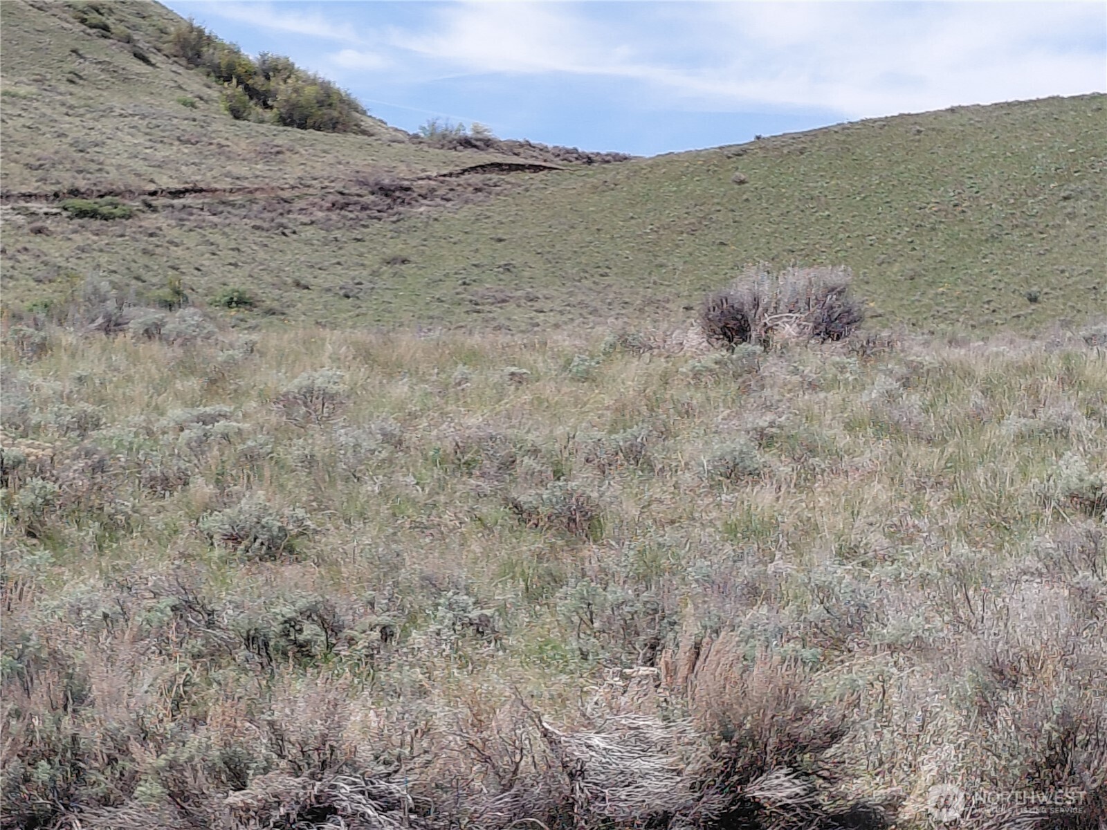 272 Mountain Spring Road , Orondo, WA 98843