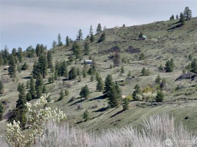 272 Mountain Spring Road , Orondo, WA 98843 - Photo 7
