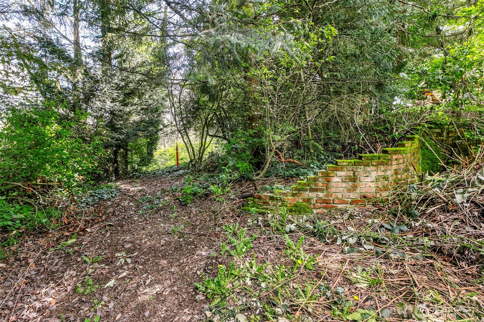 12434 12th Avenue S, Burien, WA 98168-2241