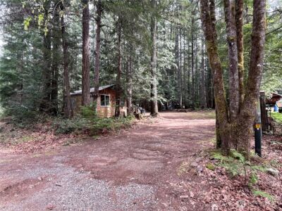 170 N Mount Washington Drive , Hoodsport, WA 98548 - Photo 1