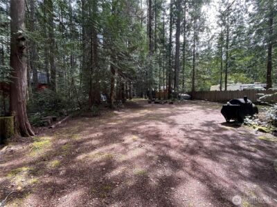 170 N Mount Washington Drive , Hoodsport, WA 98548 - Photo 11