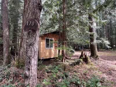 170 N Mount Washington Drive , Hoodsport, WA 98548 - Photo 2