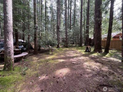 170 N Mount Washington Drive , Hoodsport, WA 98548 - Photo 7