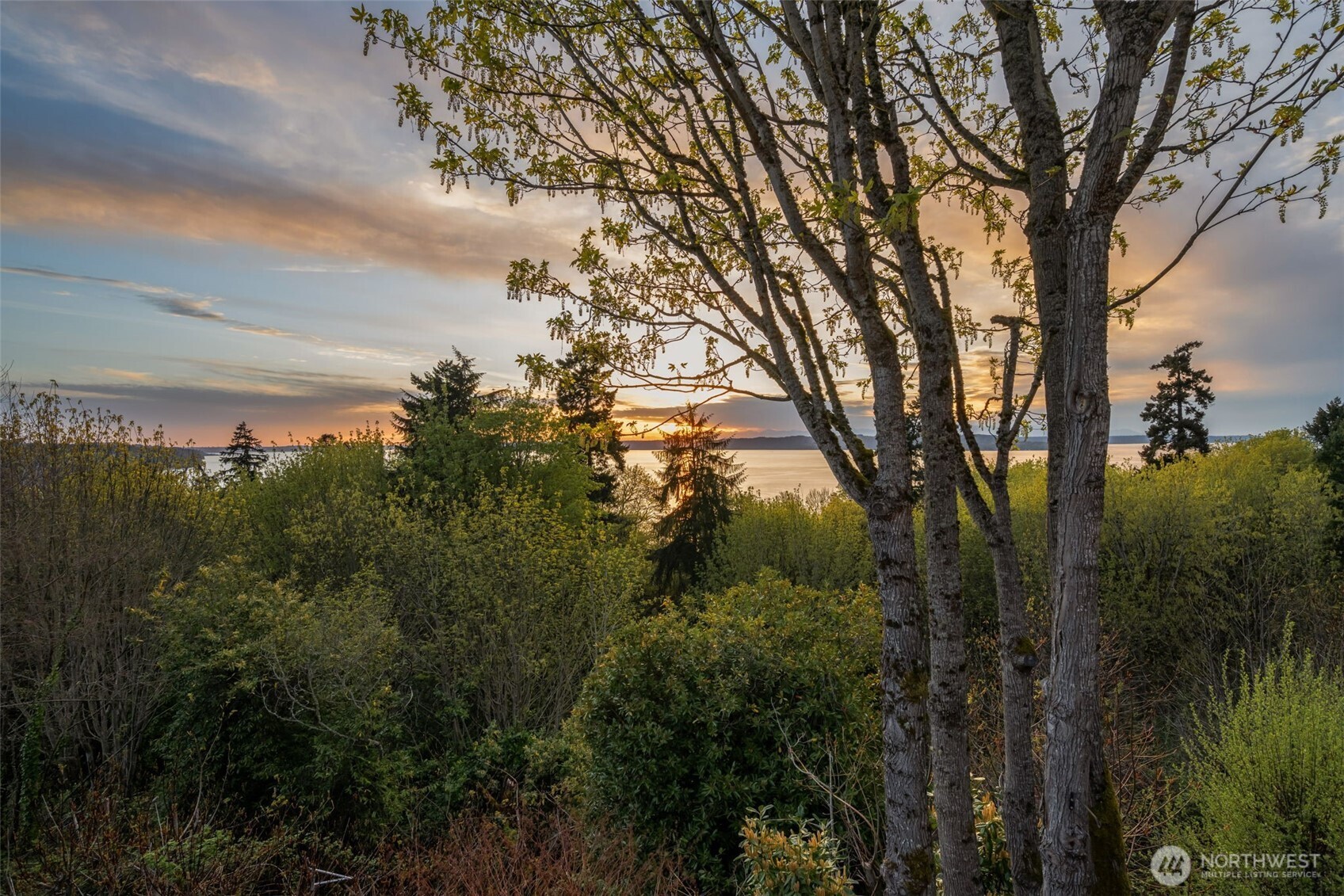 28017 13th Avenue S, Des Moines, WA 98198