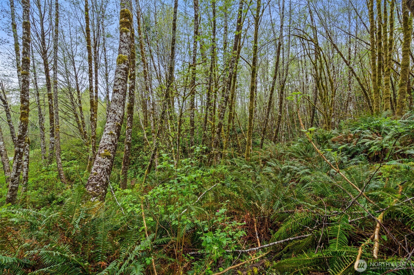 0 X State Route 107 Hwy , Montesano, WA 98563