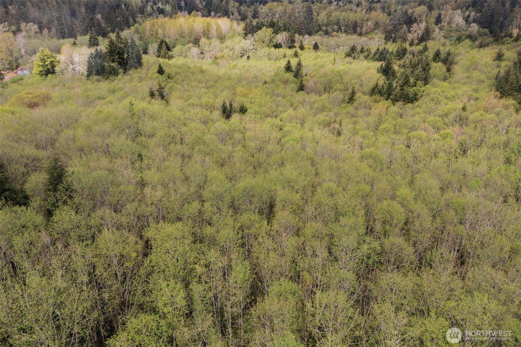 0 X State Route 107 Hwy , Montesano, WA 98563