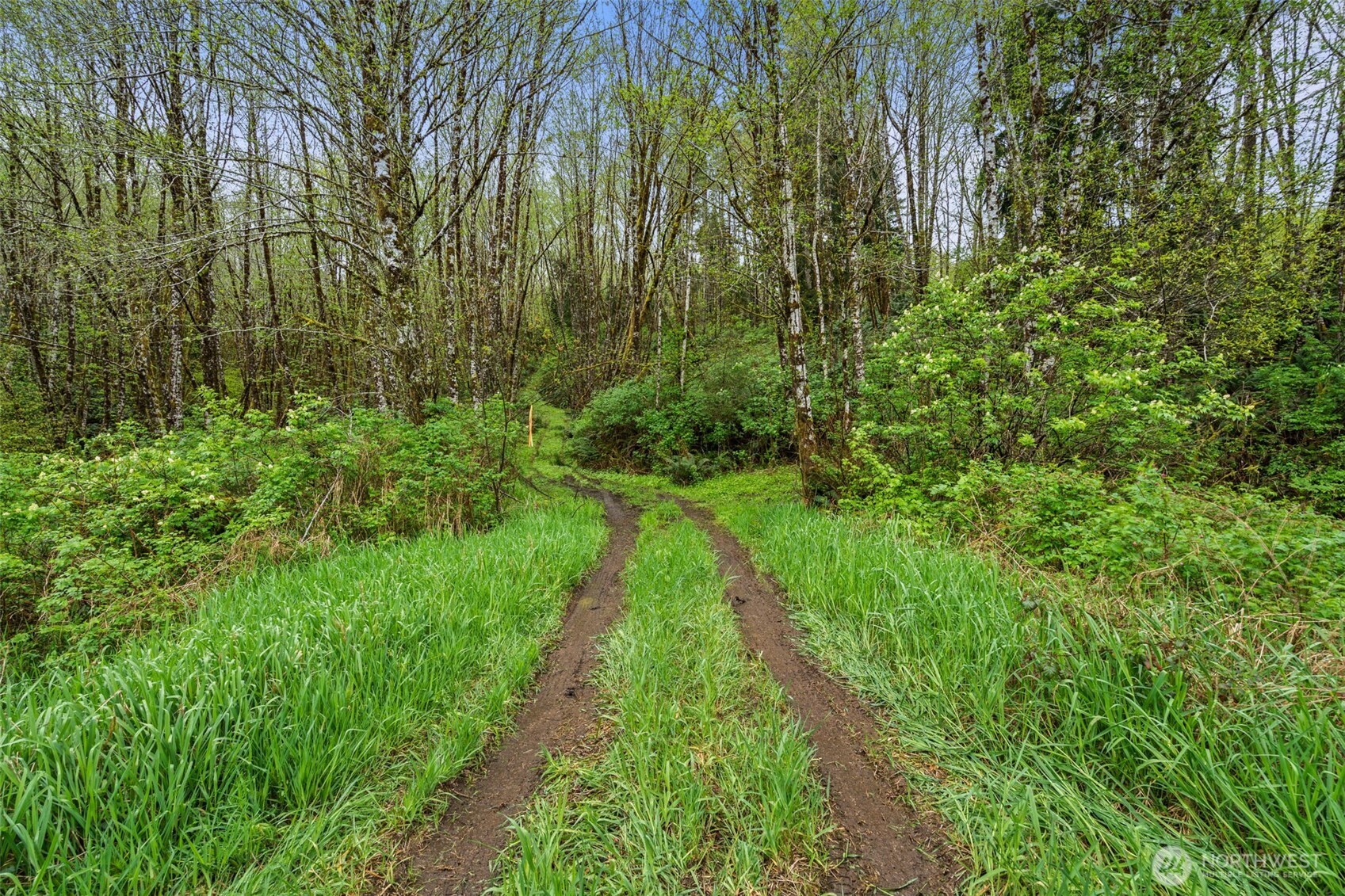 0 X State Route 107 Hwy , Montesano, WA 98563
