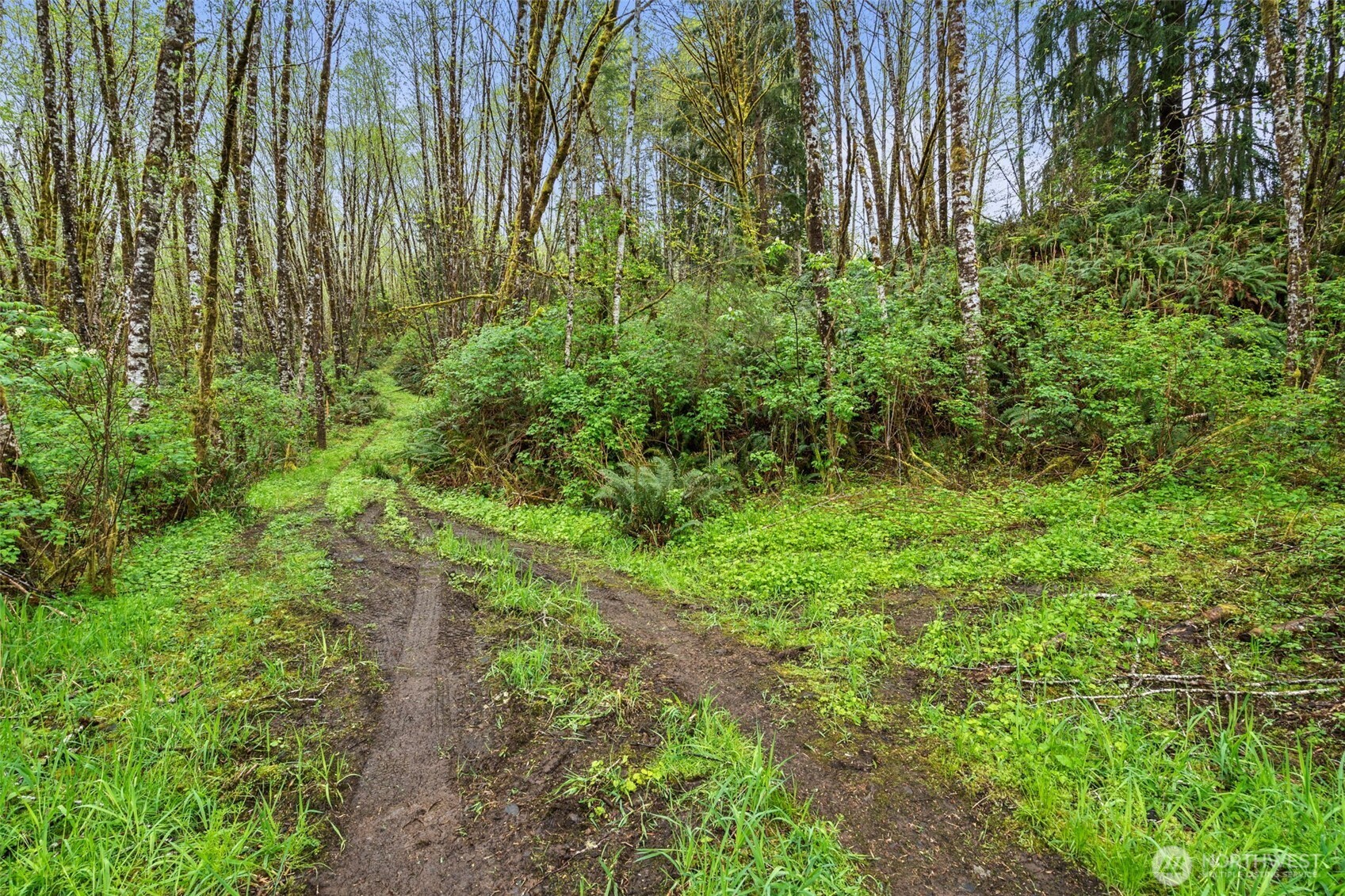 0 X State Route 107 Hwy , Montesano, WA 98563