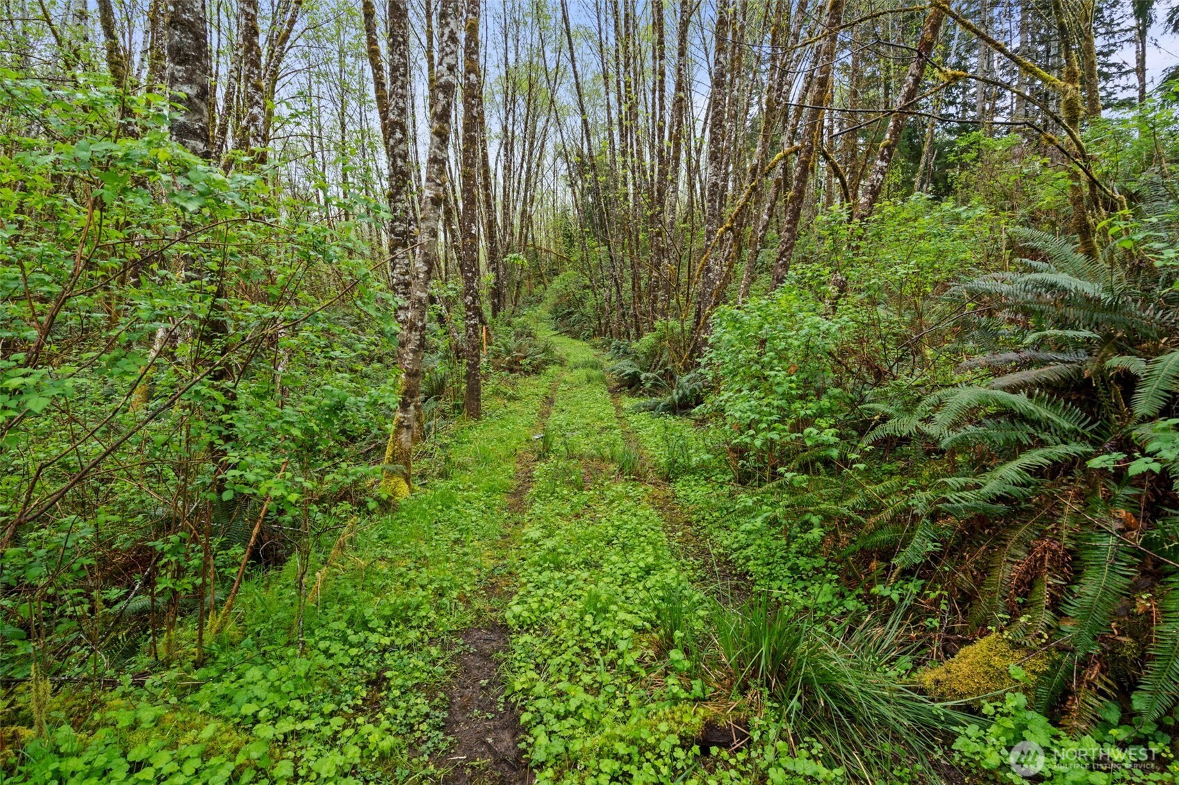 0 X State Route 107 Hwy , Montesano, WA 98563