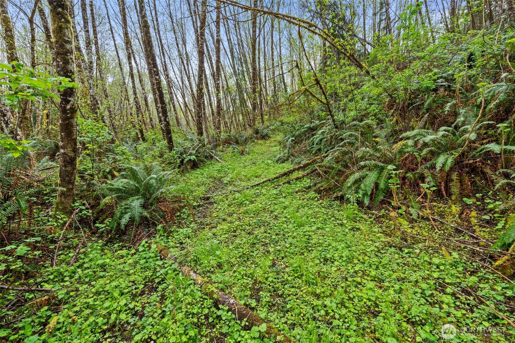 0 X State Route 107 Hwy , Montesano, WA 98563