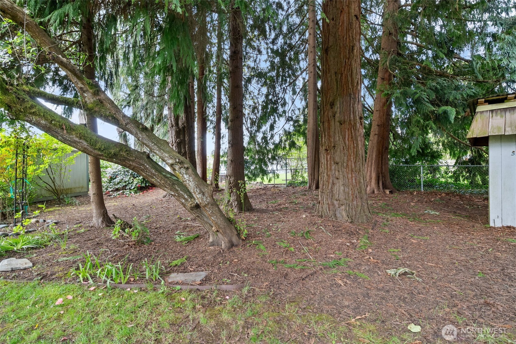 4514 26th Avenue SE, Lacey, WA 98503