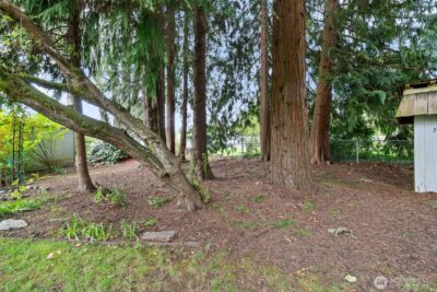 4514 26th Avenue SE, Lacey, WA 98503 - Photo 21