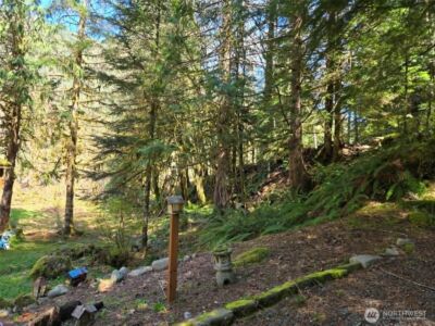 48918 Front Street , Granite Falls, WA 98252 - Photo 16
