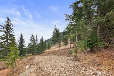 321 Innsbruck Drive , Snoqualmie Pass, WA 98068 - Photo 1