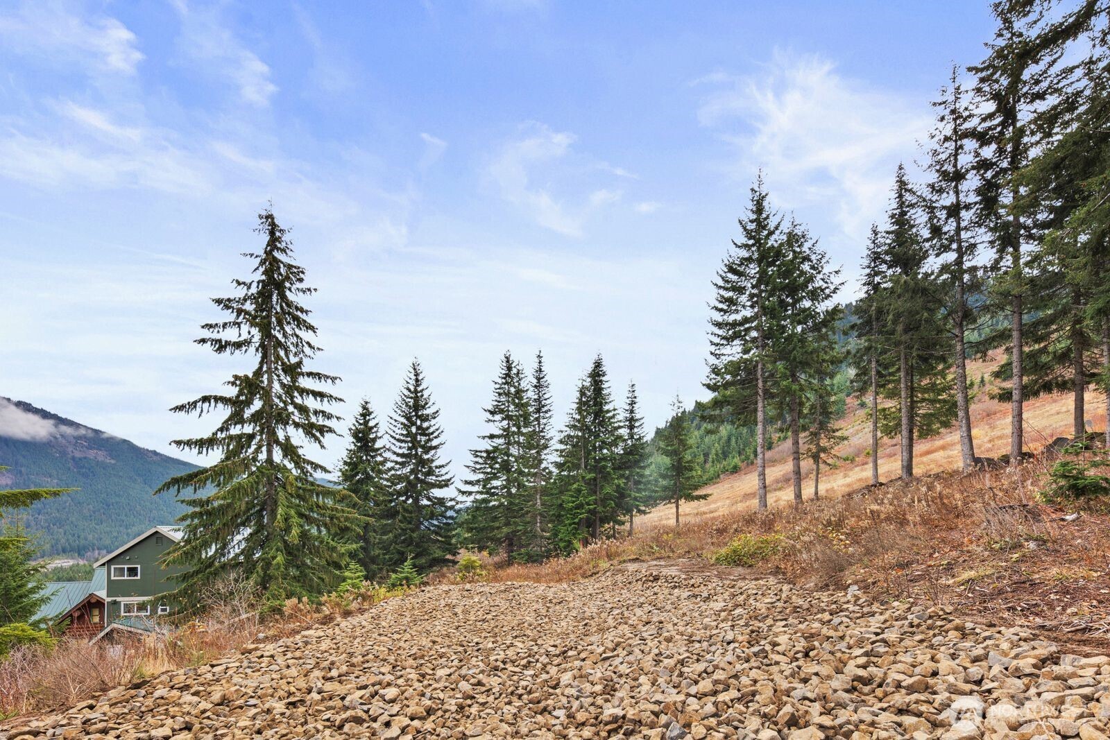 321 Innsbruck Drive , Snoqualmie Pass, WA 98068