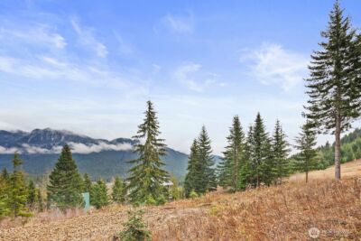 321 Innsbruck Drive , Snoqualmie Pass, WA 98068 - Photo 3