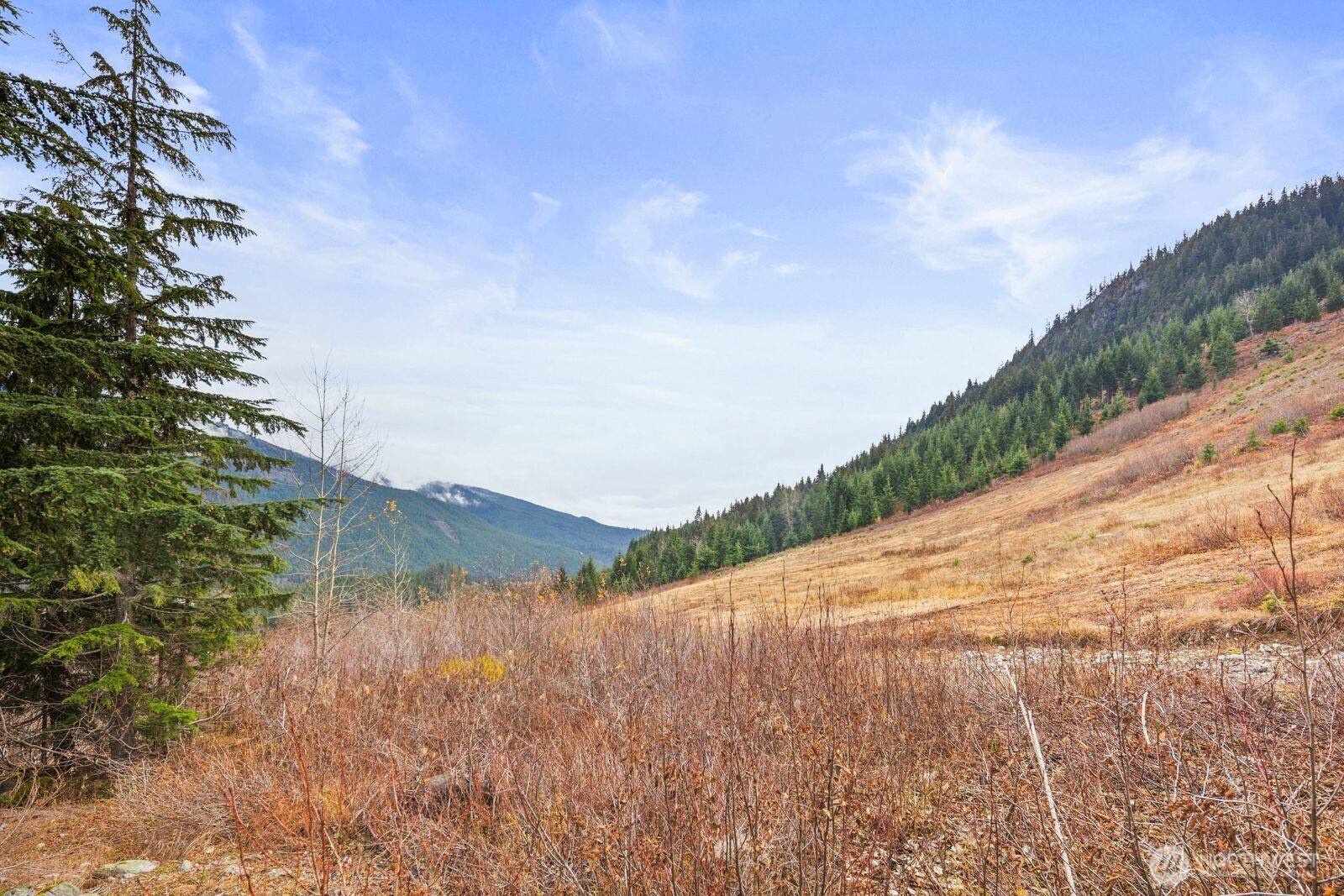 321 Innsbruck Drive , Snoqualmie Pass, WA 98068