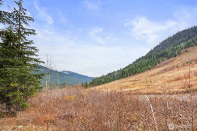 321 Innsbruck Drive , Snoqualmie Pass, WA 98068 - Photo 4